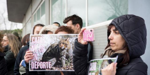 Organizaciones en defensa de lobo exigen en Madrid el fin de la caza con trampas