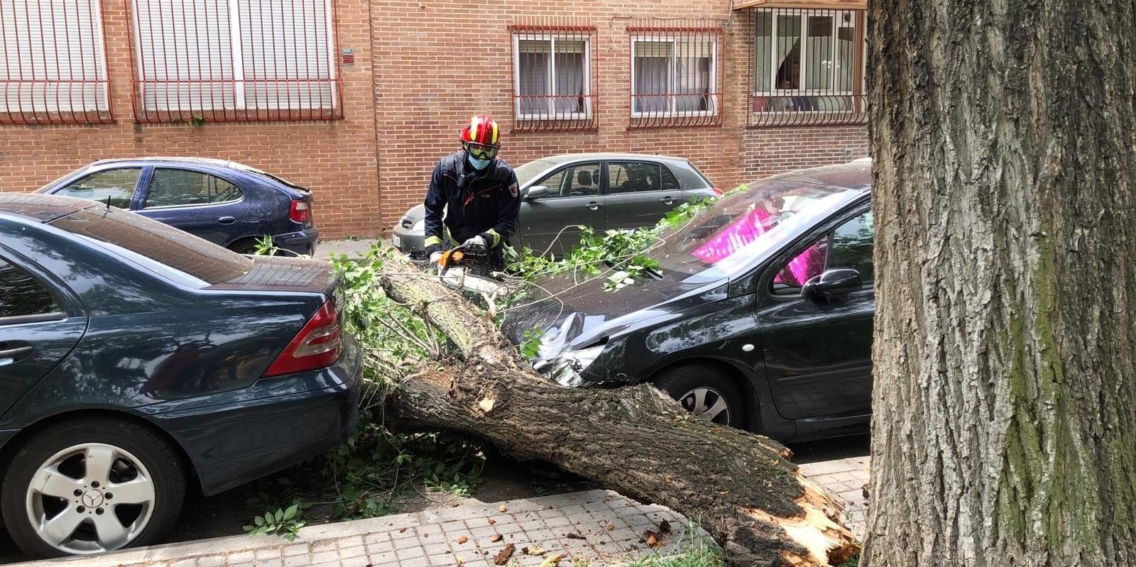 Cae sin provocar heridos una rama de grandes dimensiones sobre varios coches aparcados en Majadahonda