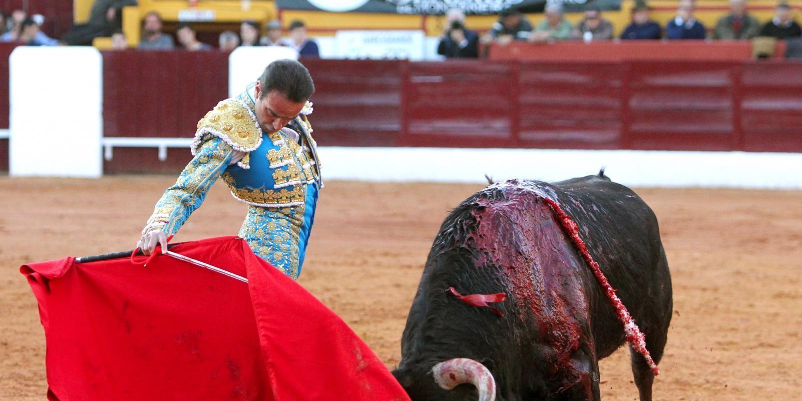 Apenas habrá una treintena de festejos en el agosto de la "nueva normalidad"