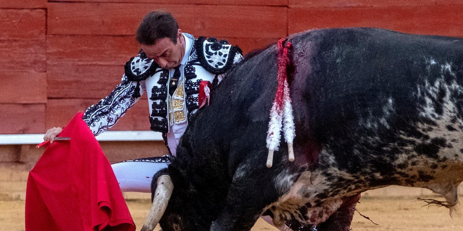 Enrique Ponce causa baja en la corrida de este sábado en El Espinar (Segovia)