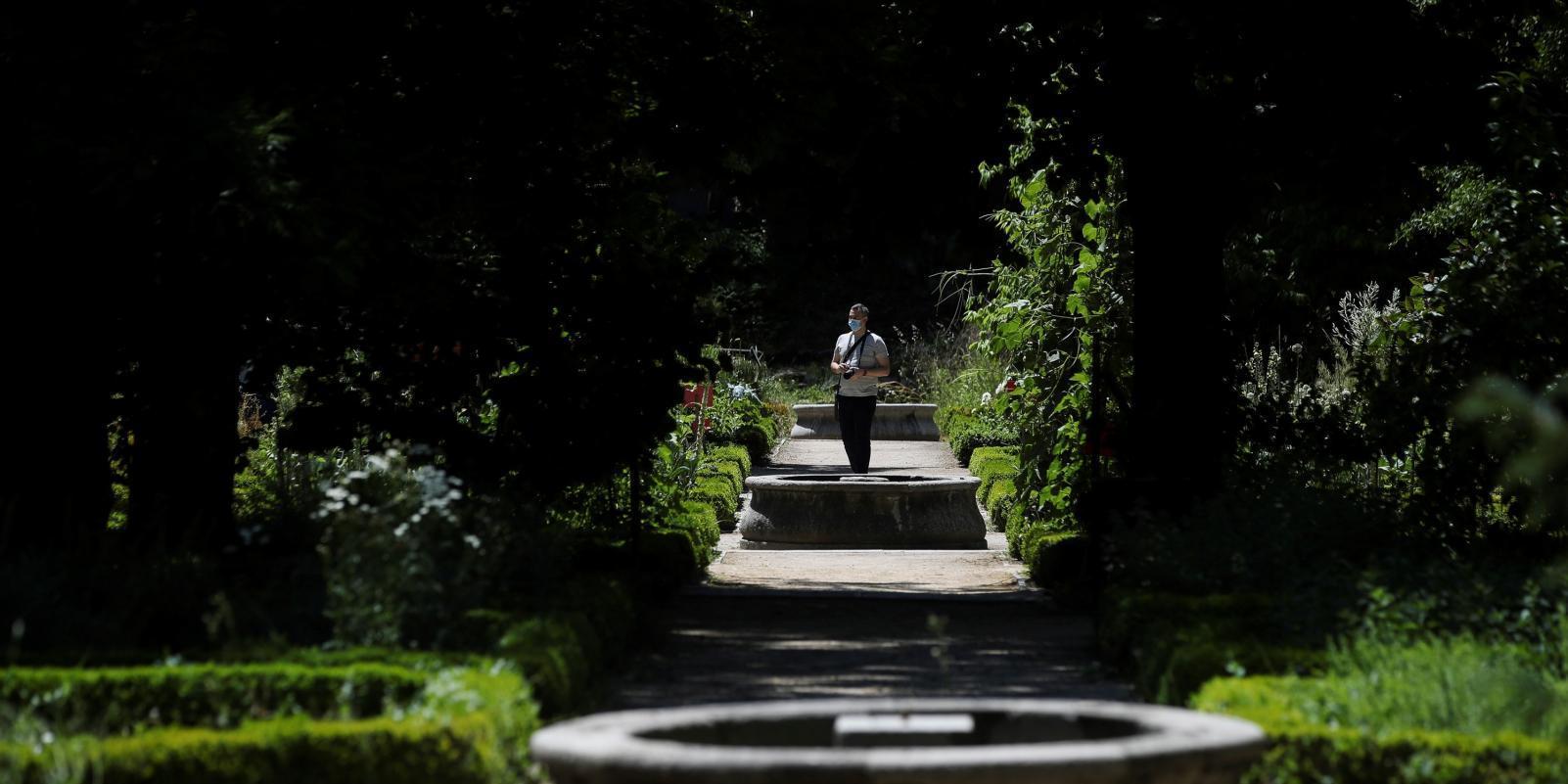 El Real Jardín Botánico forma a especialistas en espacios verdes singulares