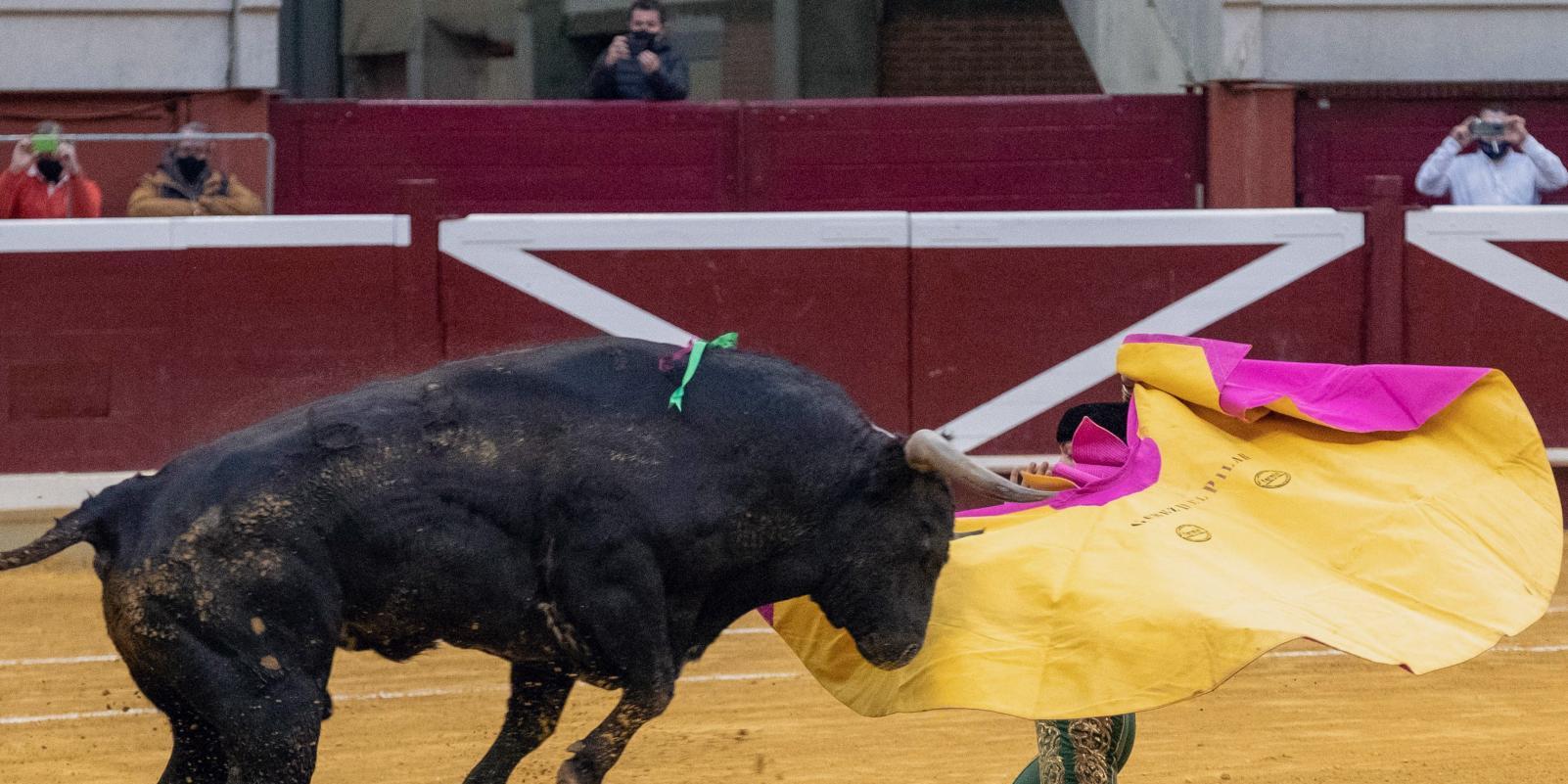 Gómez del Pilar corta la única oreja de la "miurada" de Logroño