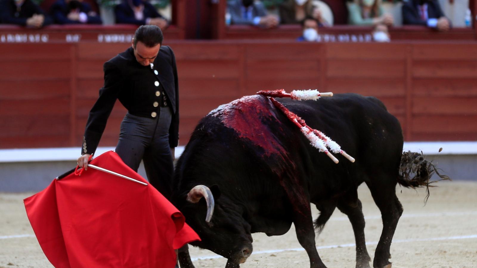 La afición cobra protagonismo en una reapertura de Las Ventas sin políticos