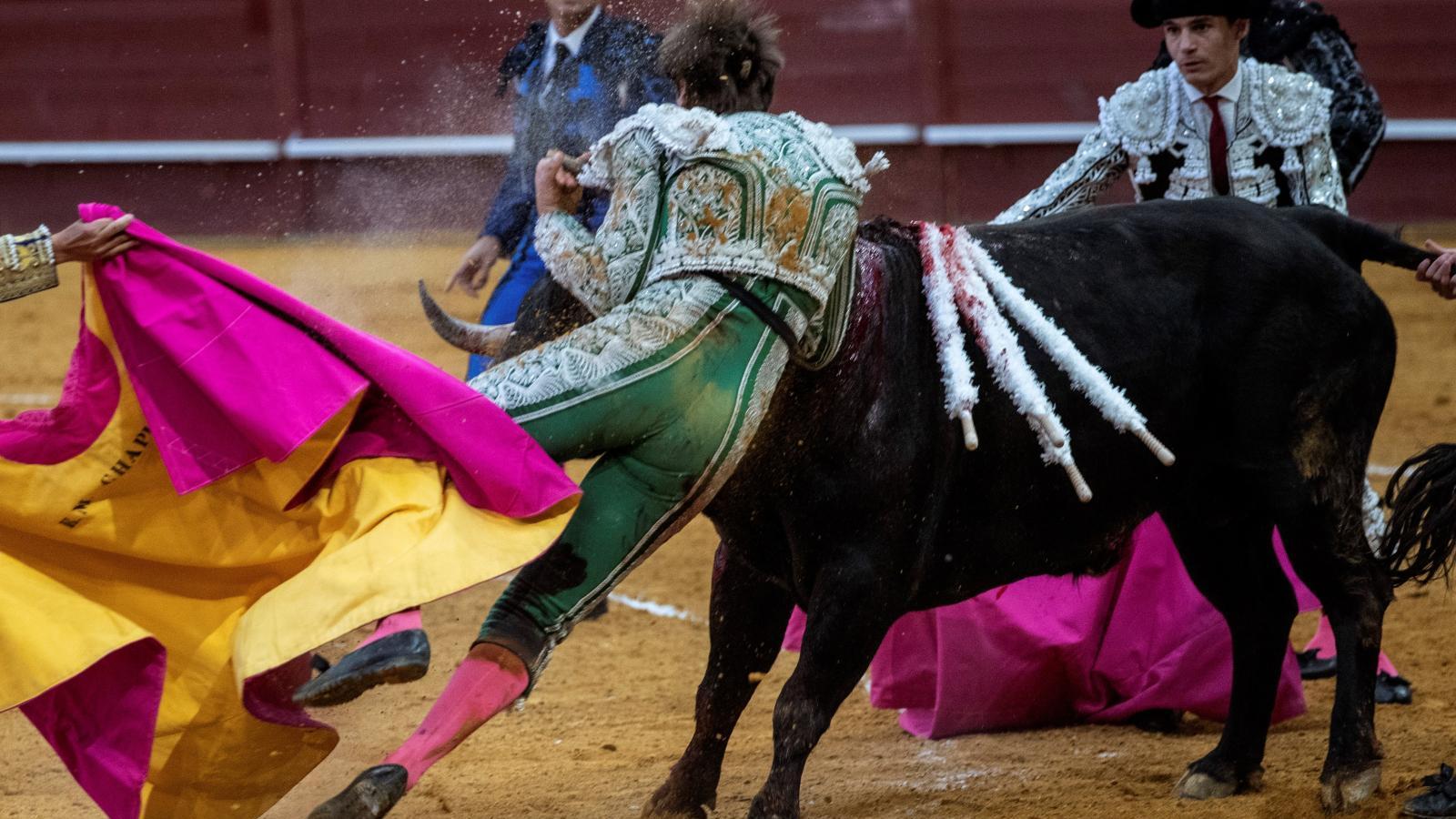 El subalterno Juan José Domínguez "ha vuelto a nacer" en Vistalegre (Madrid)