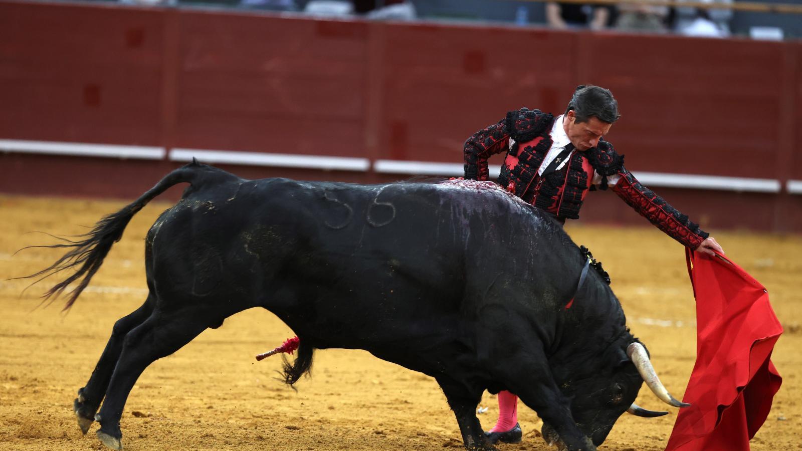 Diego Urdiales sustituye a Enrique Ponce esta tarde en Burgos