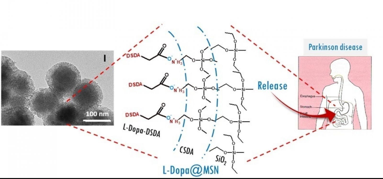 Crean nanopartículas capaces de administrar medicamentos de forma continuada