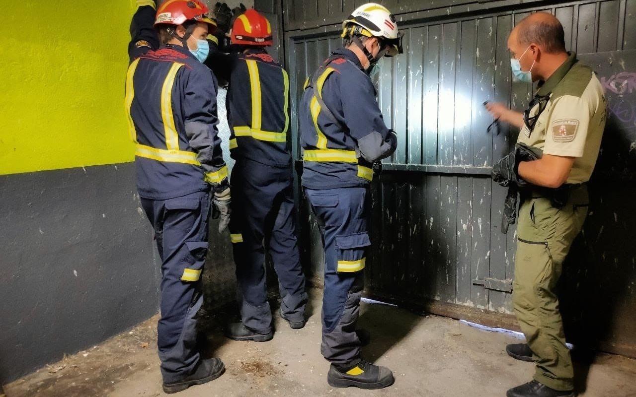 Encuentran una víbora venenosa escondida en la puerta de un garaje en Manzanares del Real