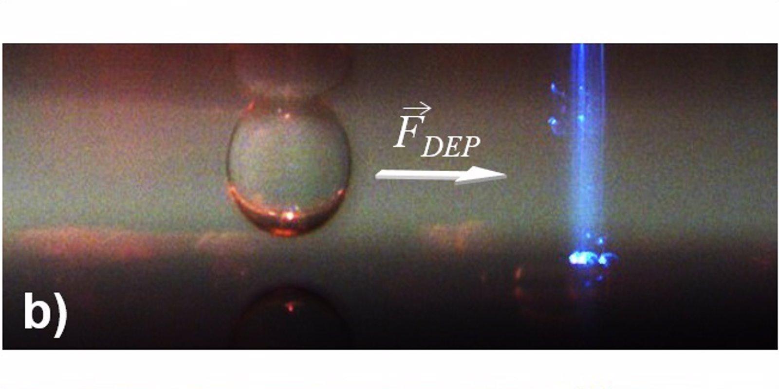 Investigadores de la UAM desarrollan una técnica novedosa para estudiar y manipular ADN, células, bacterias y virus