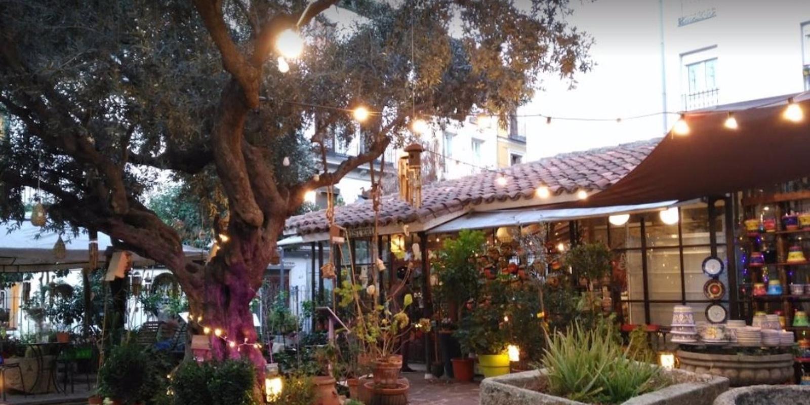 Reabre la floristería más antigua de la capital en la calle Huertas bajo el nombre 'El Ángel del Jardín'