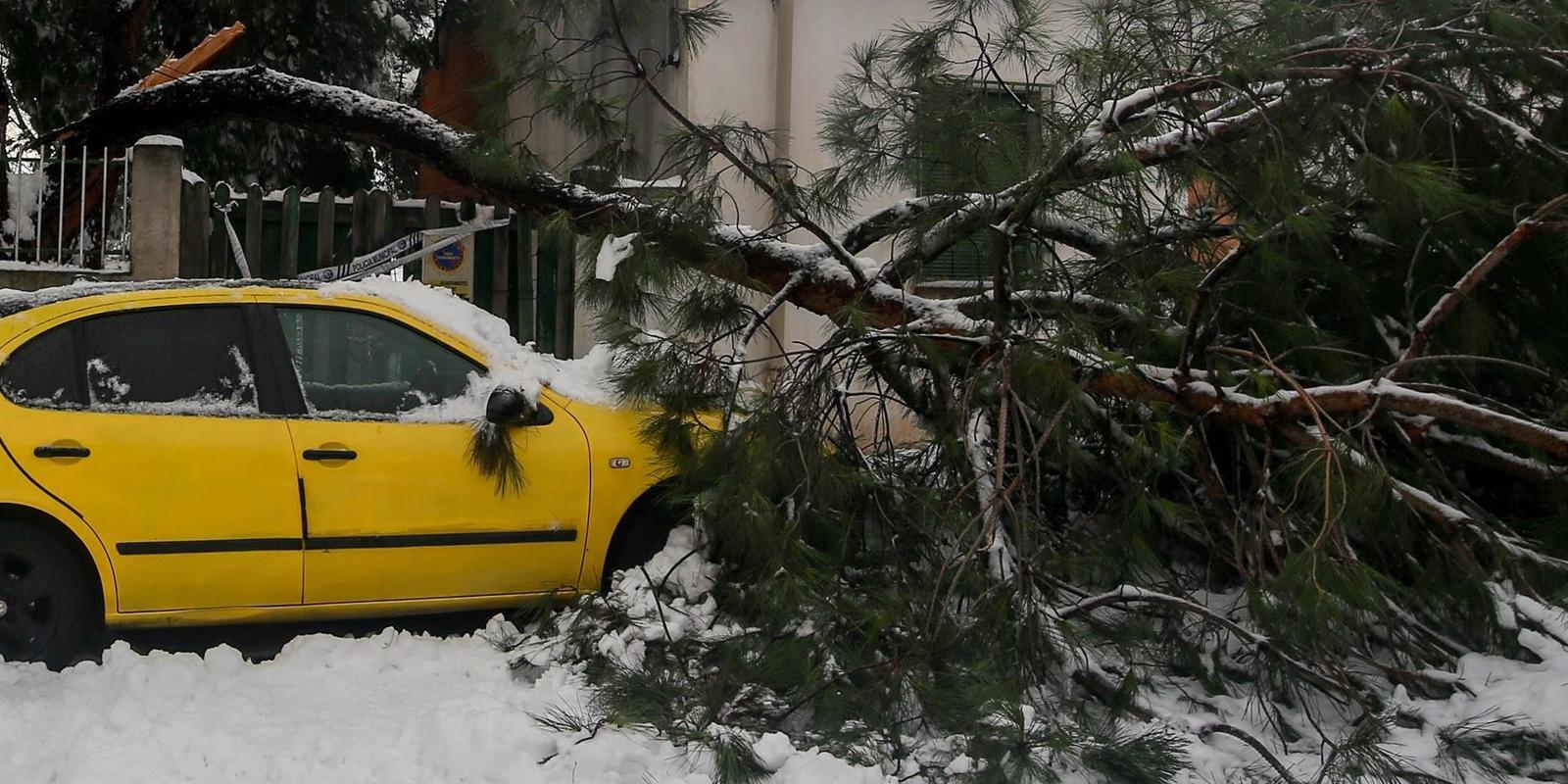 Los servicios de emergencia regionales priorizarán la llegada de suministros y la retirada de ramas