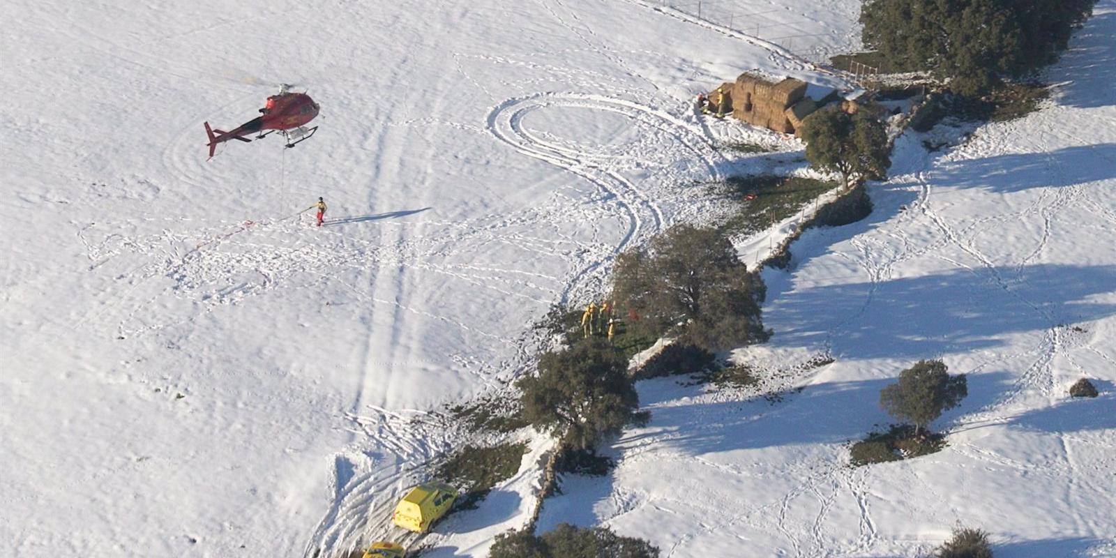La Comunidad activa una operación aérea para alimentar a 400 animales aislados por el temporal en Colmenar Viejo