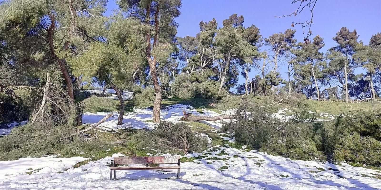 El Gobierno de España declara la Zona Afectada Gravemente para los territorios afectados por el temporal 'Filomena'