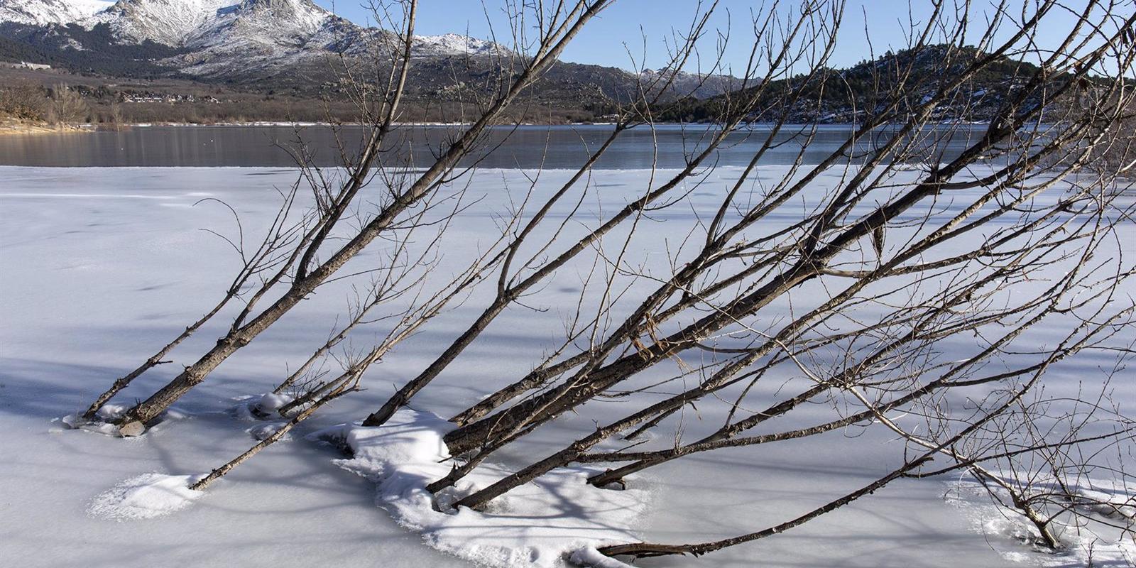 La Comunidad de Madrid empleará fondos del nuevo PIR 2021-2025 para reparar daños causados por la borrasca 'Filomena'