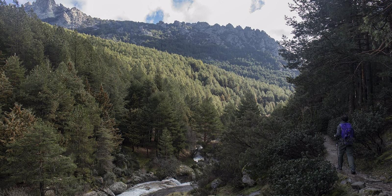 La Comunidad habilitará con fondos europeos 23 corredores ambientales