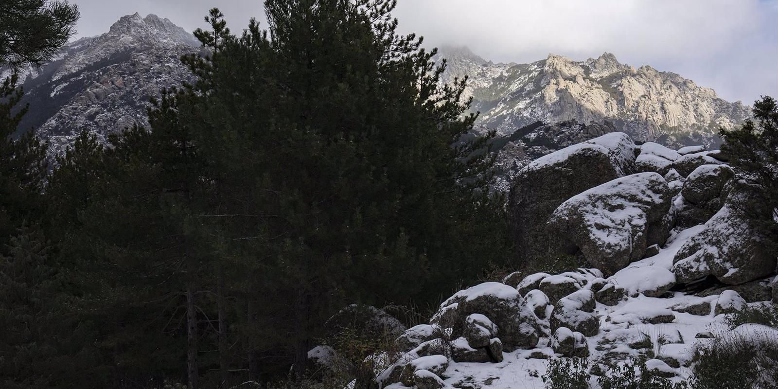 Regulado el tránsito en viales y escaladas de La Pedriza para proteger a buitres, halcones y águilas en su época de cría