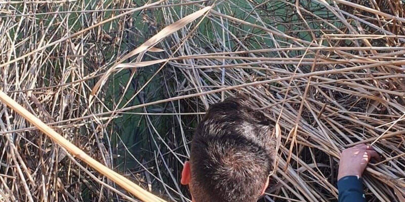 Guardias civiles rescatan a una persona atrapada en el río Tajo cuando intentó salvar a su perro