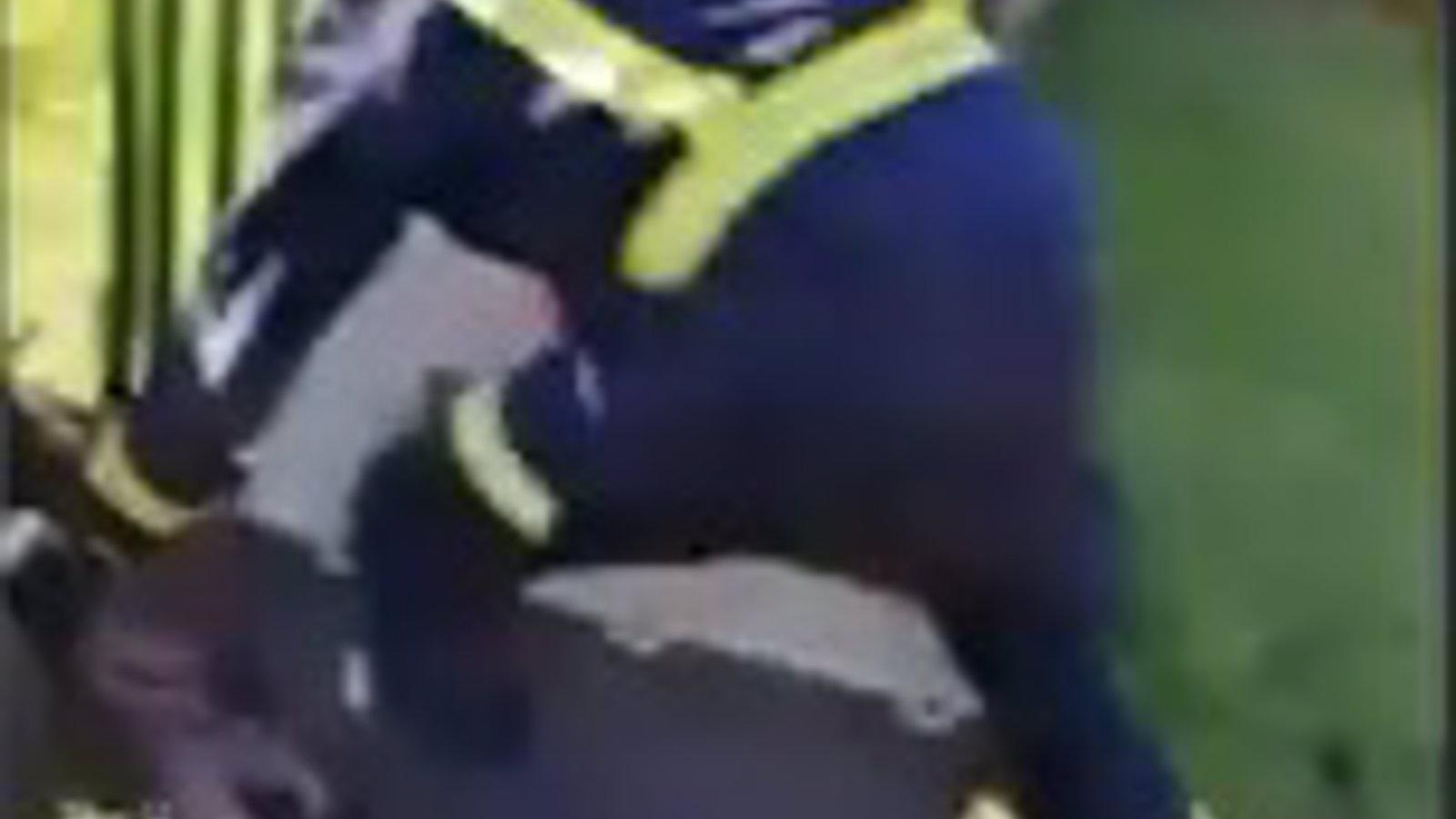 Rescatan un corzo atrapado en un vallado en Colmenar Viejo