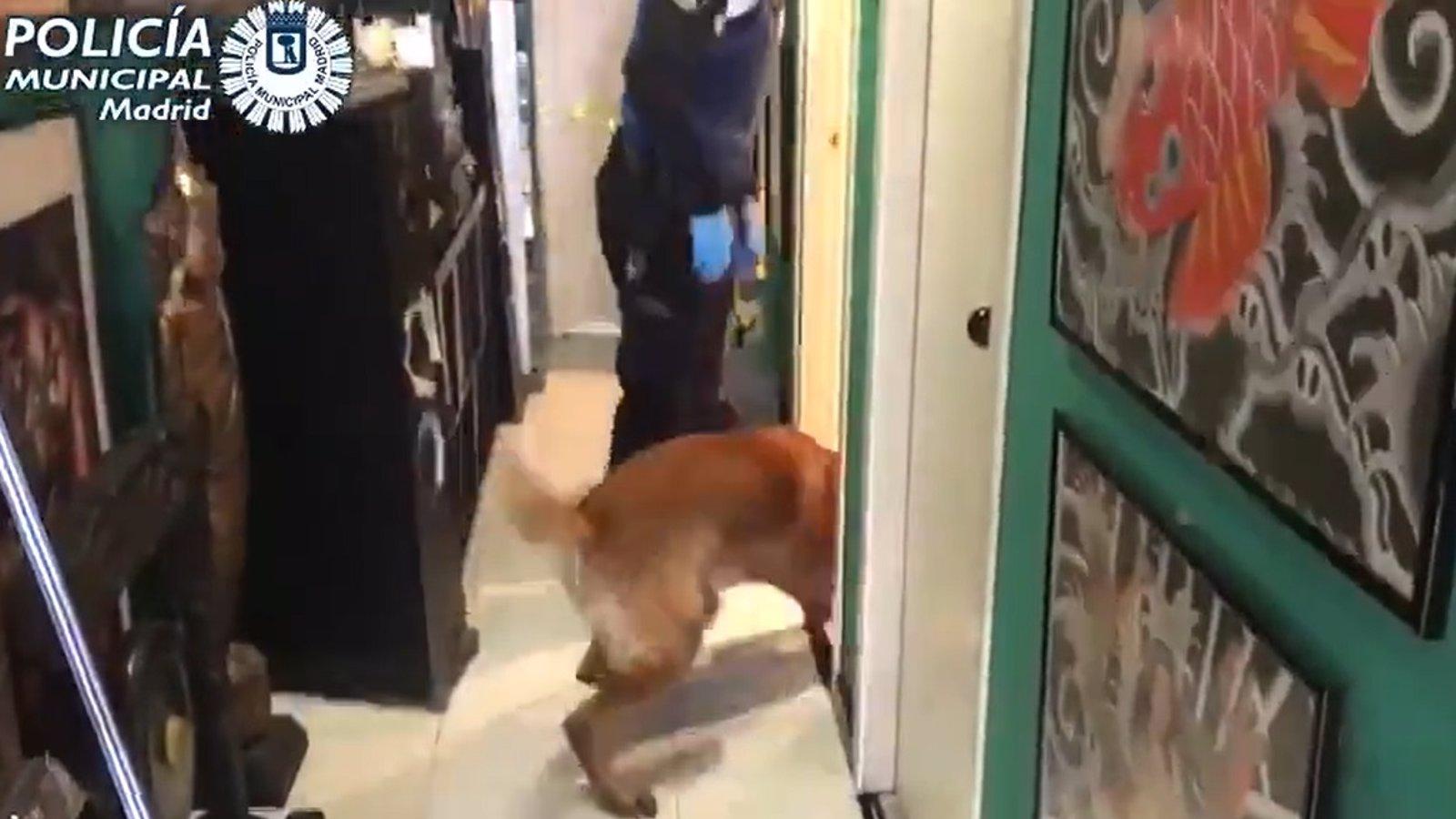 Detenido el responsable de un local de tatuajes por guardar hachís y cocaína