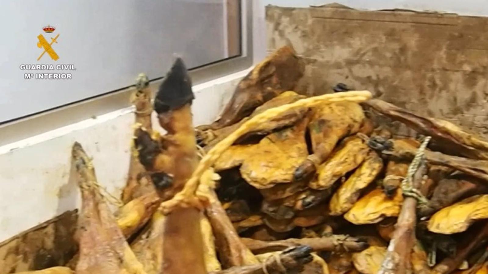 Intervenidos más de 63.100 jamones y envases de lomo con etiquetas manipuladas para simular que eran ibéricos