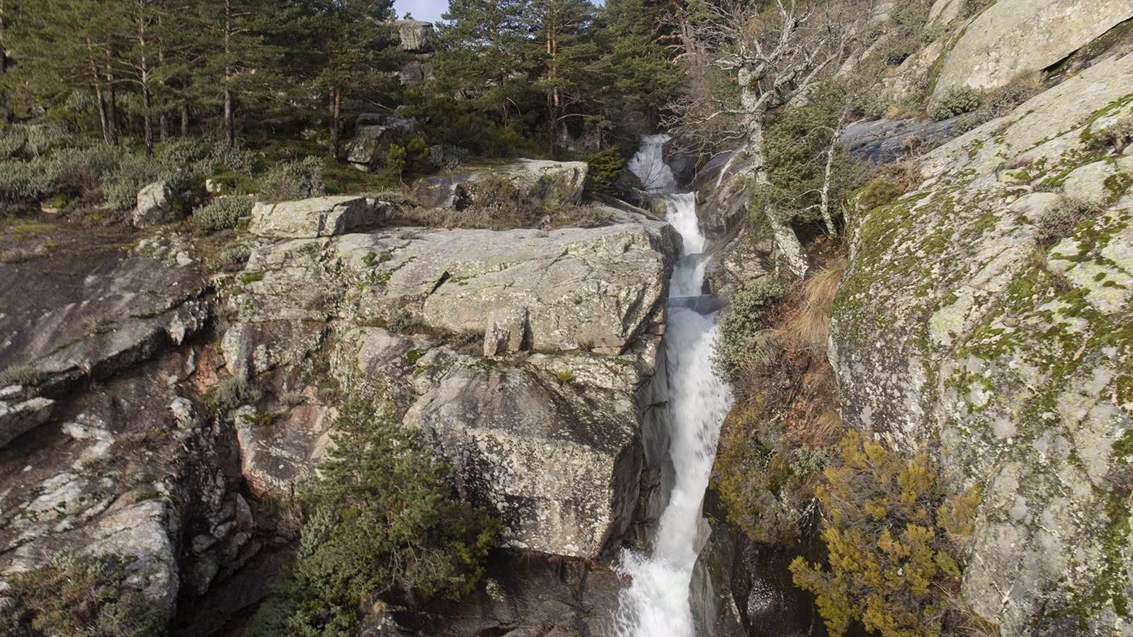La región de Madrid es la que cuenta con más superficie protegida de toda España: el 39,8% del territorio es de la Red Natura 2000