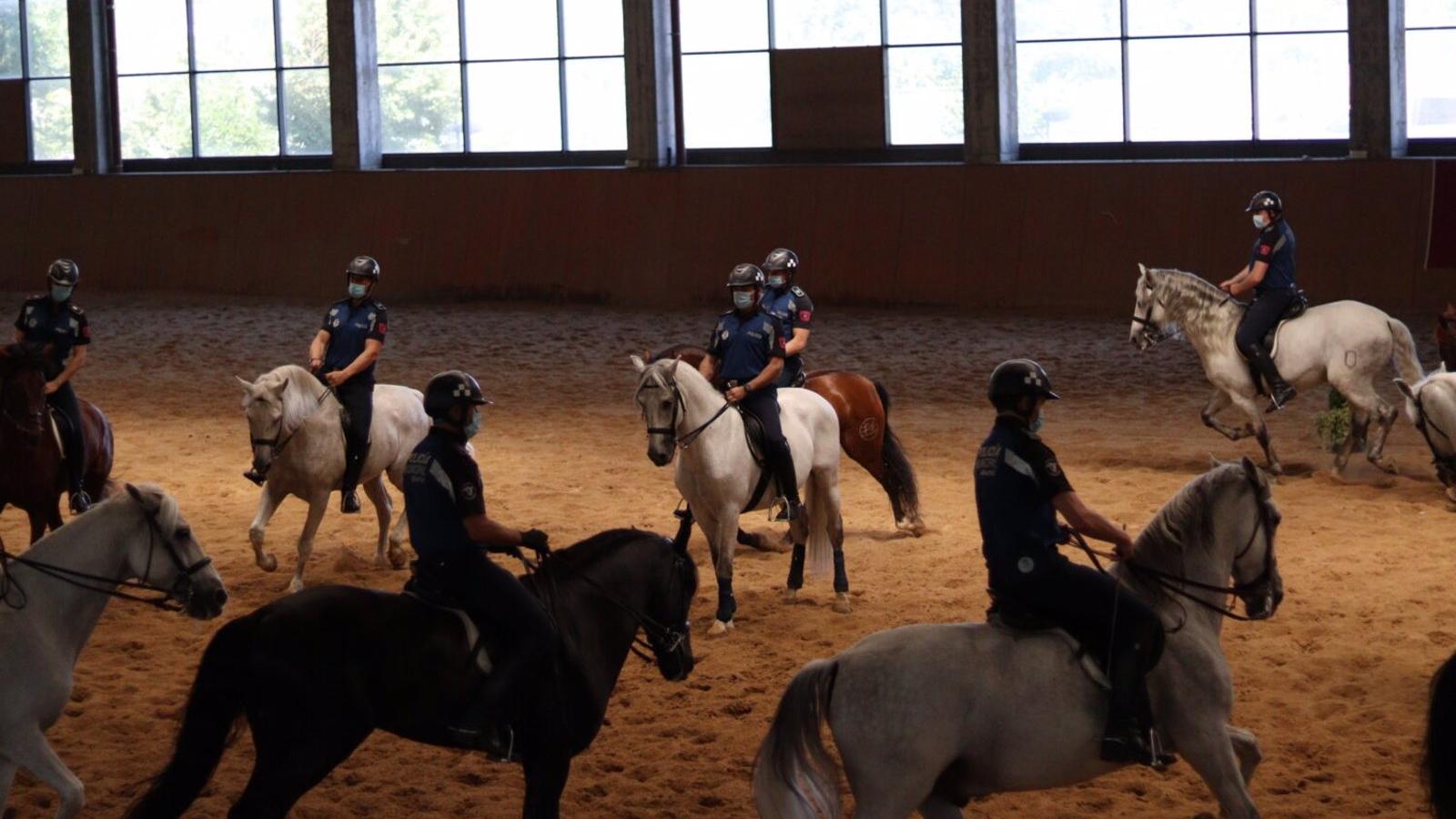 La Unidad de Caballería de la Policía Municipal de Madrid estrena instalaciones renovadas y 45 nuevos boxes