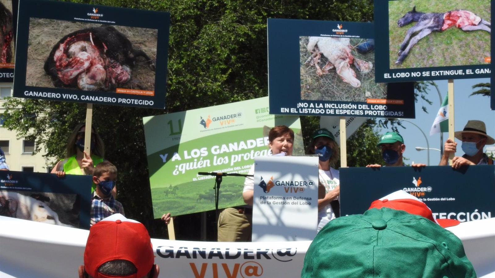 Más de un millar de personas se concentran en Madrid para pedir al Gobierno que no declare al lobo especie protegida