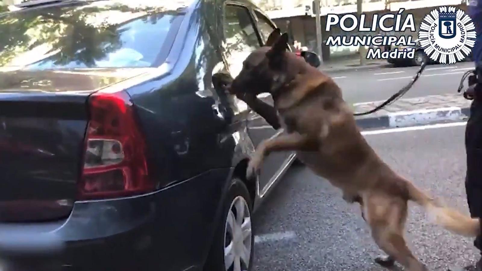 Dos detenidos que escondían la cocaína en la tapa de la gasolina del coche