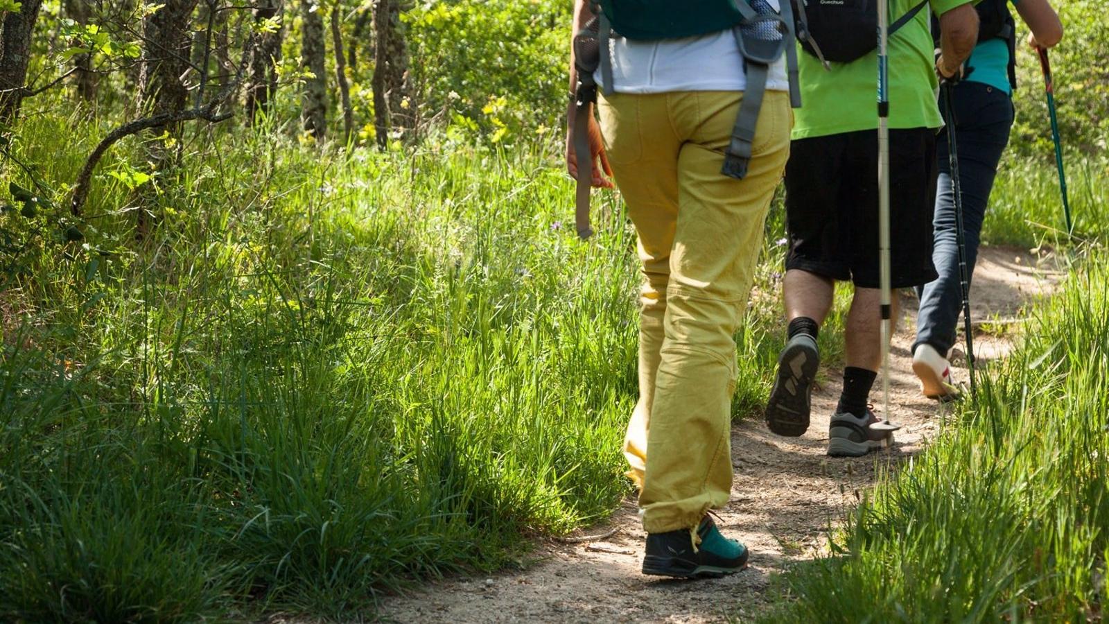La Comunidad presenta un proyecto de gestión turística para disminuir la huella de carbono en la Sierra de Guadarrama