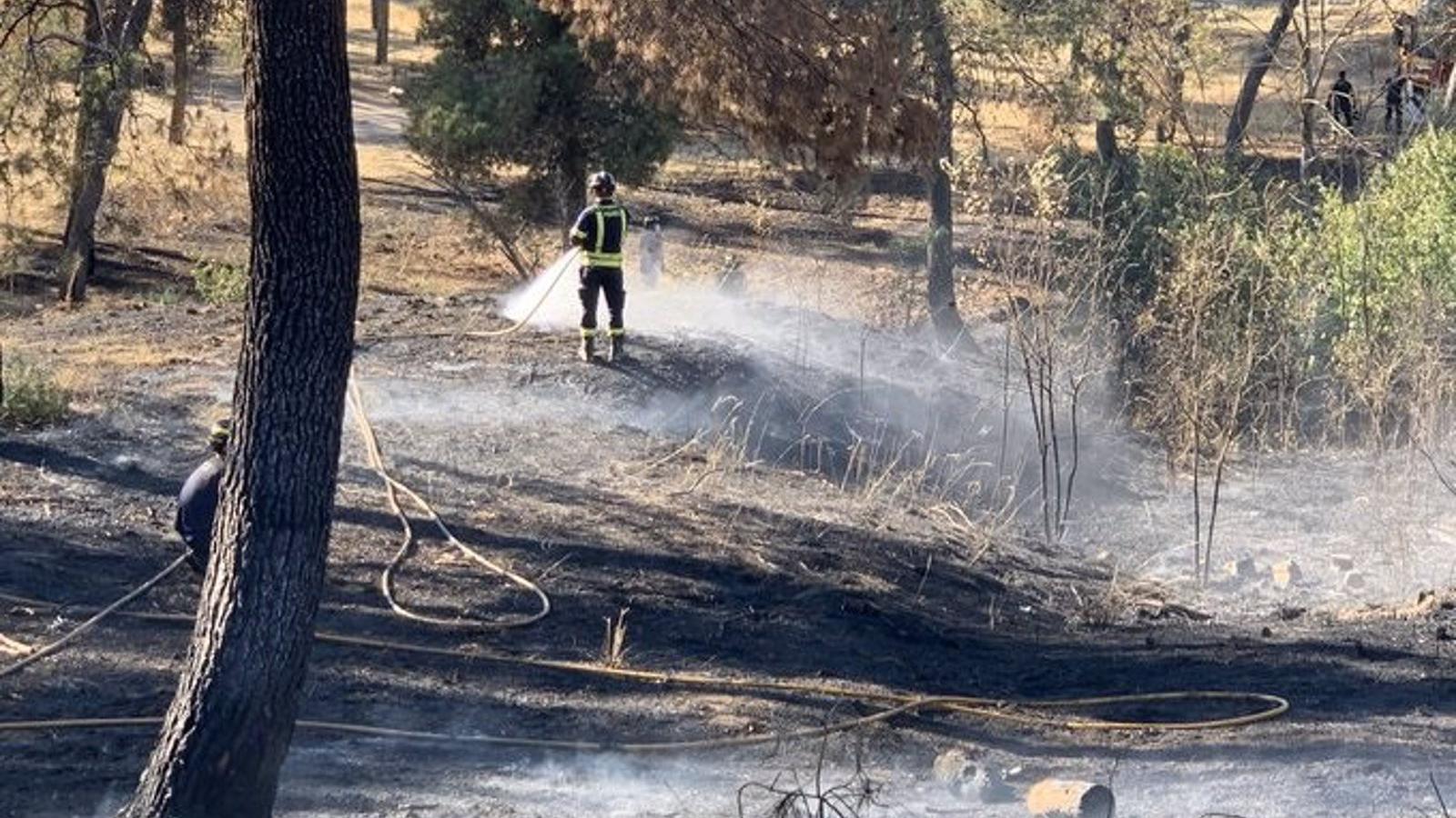 Bomberos del Ayuntamiento trabajan en la extinción de un incendio en el parque Jaime del Amo