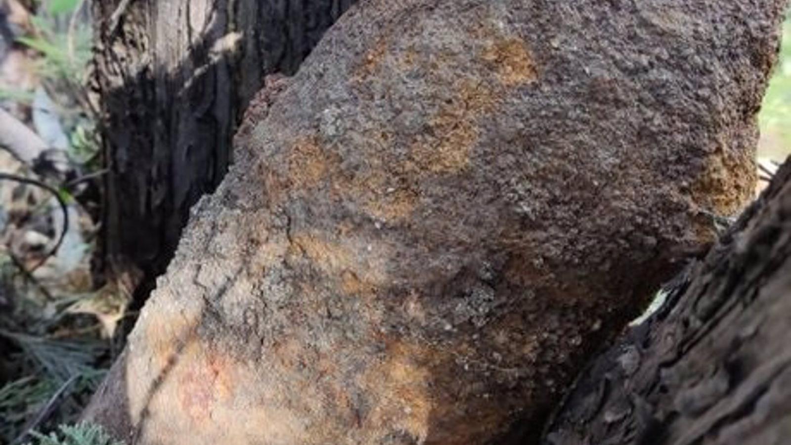 Localizado un proyectil de la Guerra Civil en una obra en Carabanchel