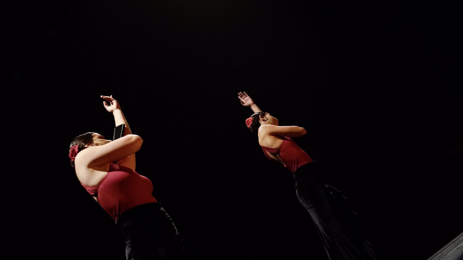 Aprobado el proyecto de la nueva Fundación Municipal de Cultura de Las Rozas