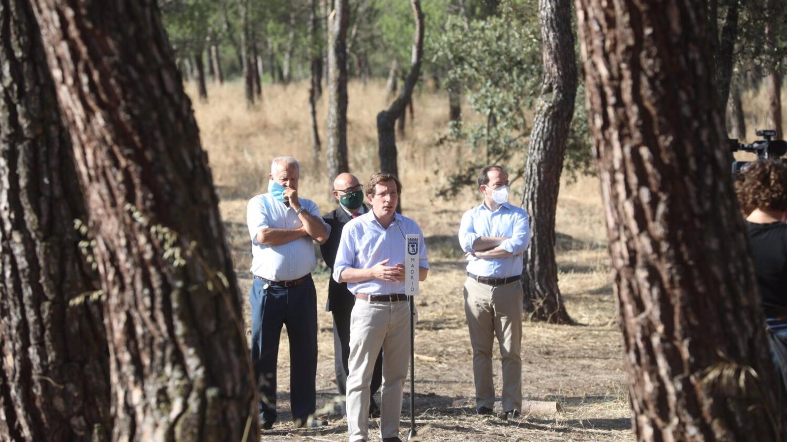 Martínez-Almeida anuncia la plantación de 100.000 árboles para reparar los daños de 'Filomena'