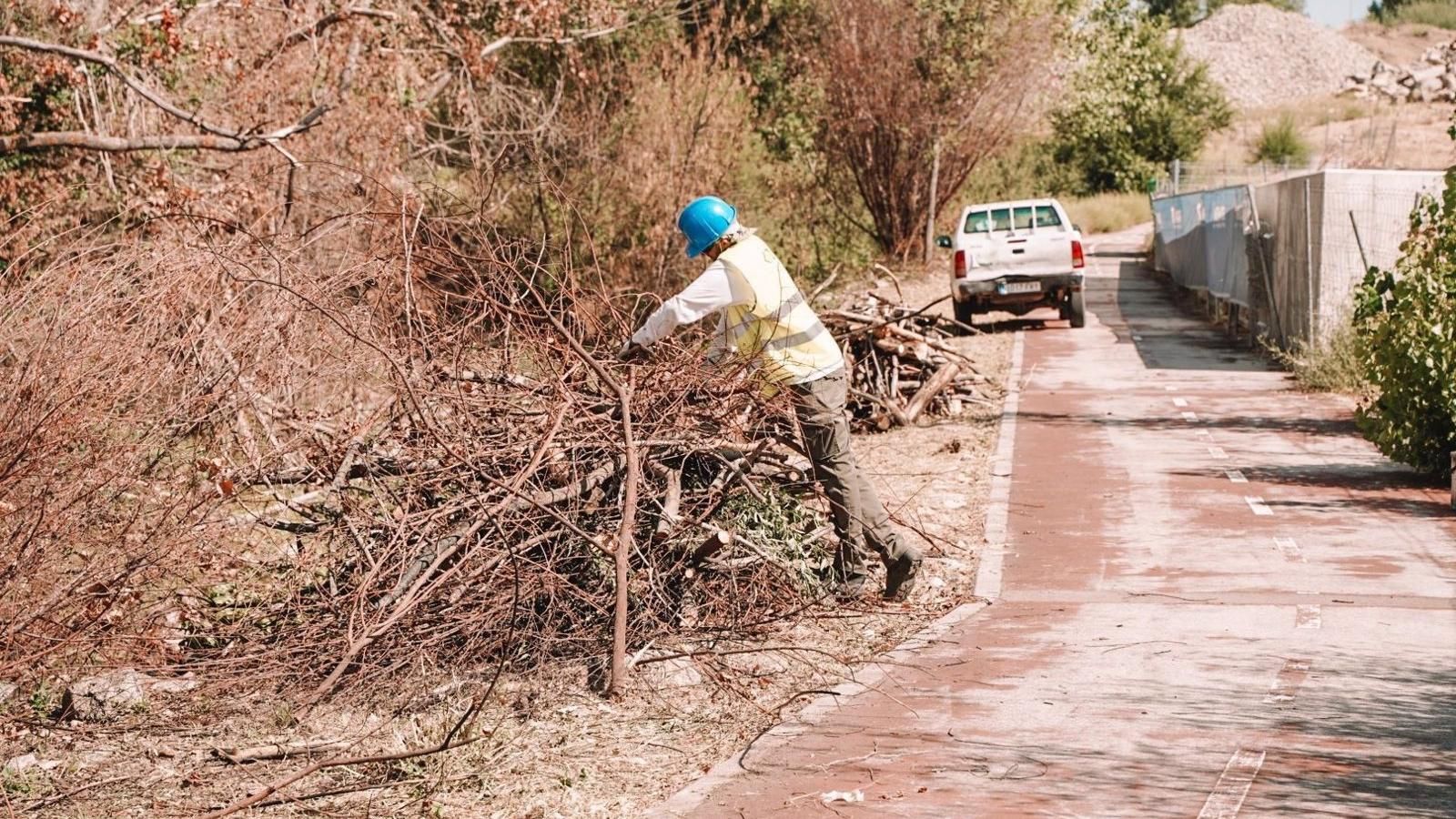 Comienzan los trabajos de limpieza del Arroyo Espino y anuncian la instalación de una pasarela peatonal en Colmenar