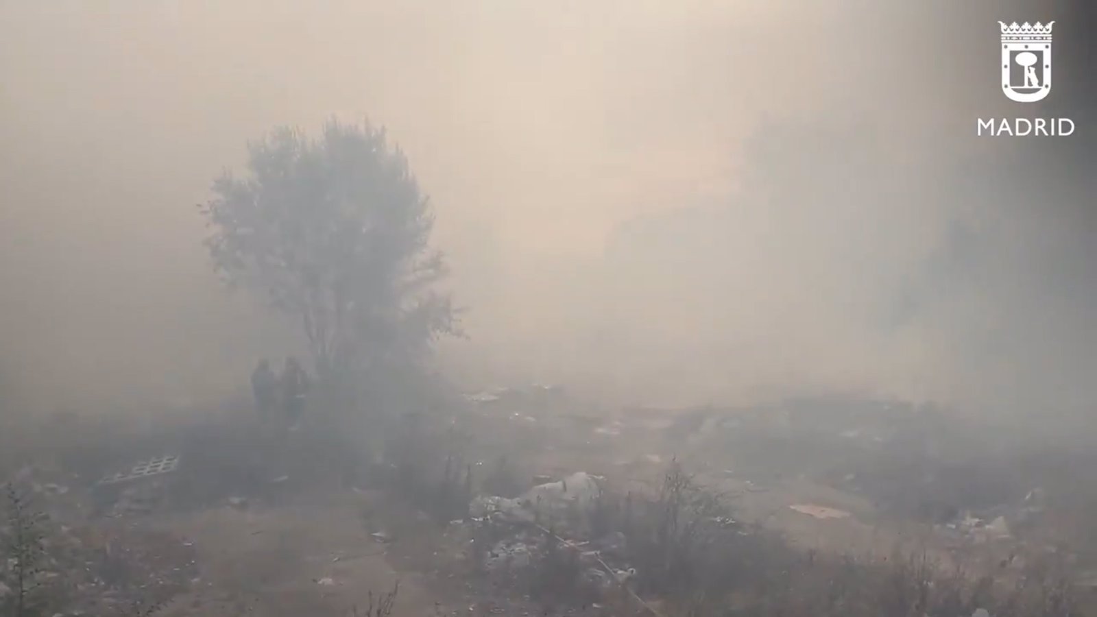 Un incendio de pastos en Villaverde origina un columna de humo visible desde la zona sur de la región