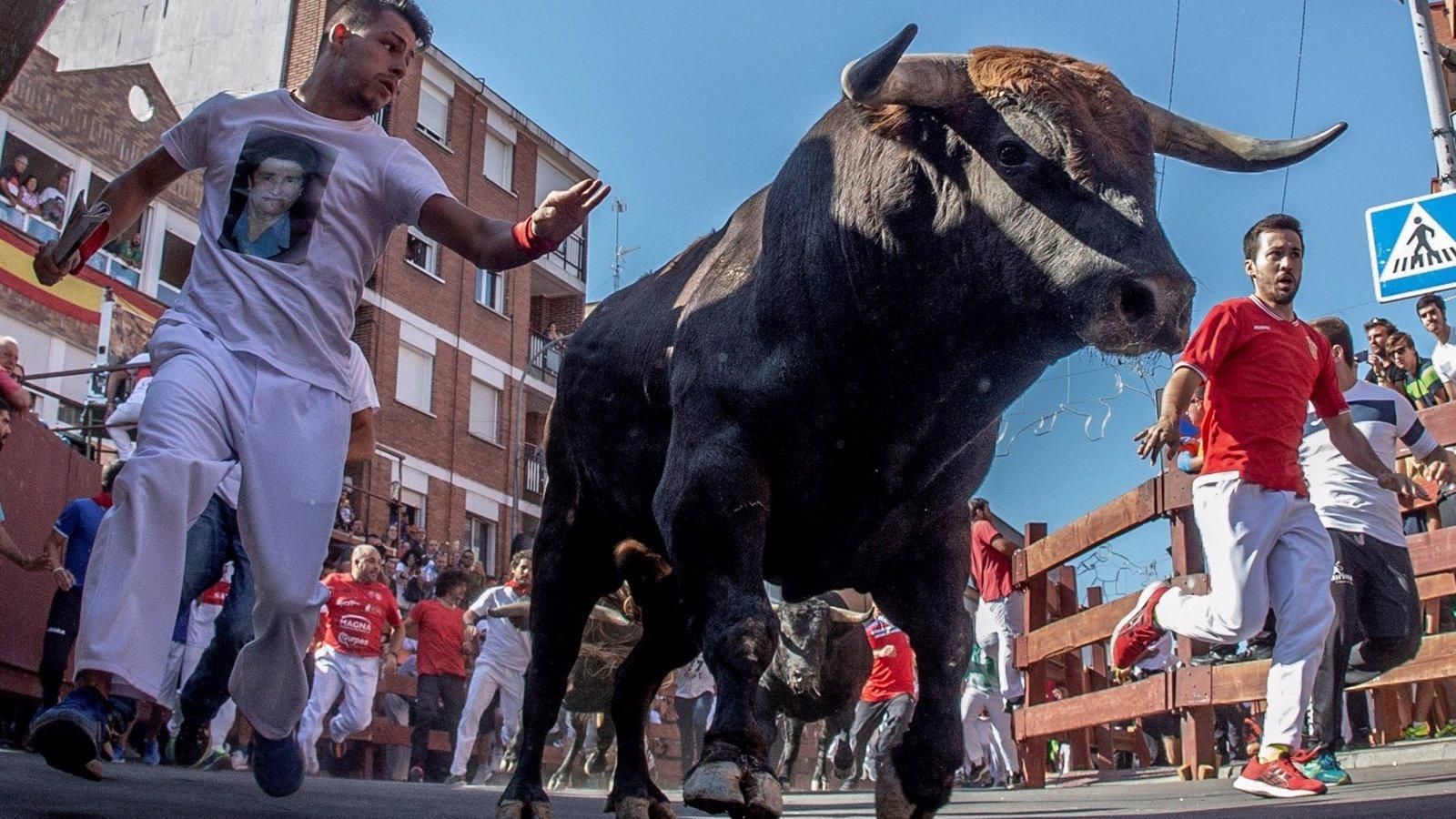 Las verbenas, las sueltas de toros y los encierros se mantendrán prohibidos en la Comunidad en agosto