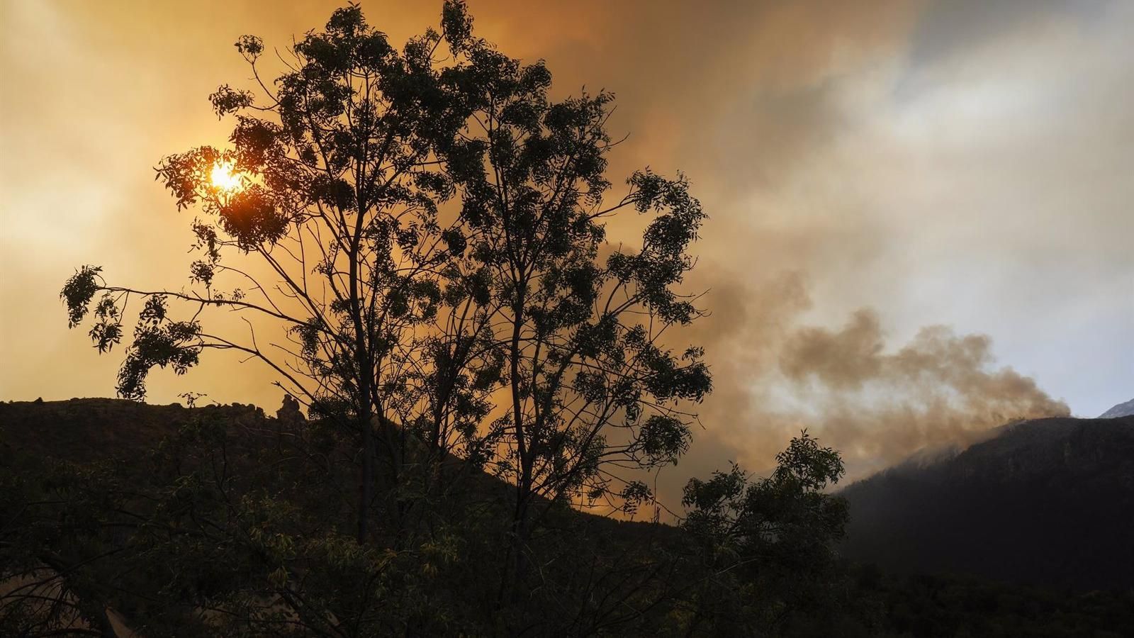 Cuatro dotaciones de Bomberos de la Comunidad, tres de Agentes Forestales y un helicóptero siguen trabajando en el incendio de Ávila