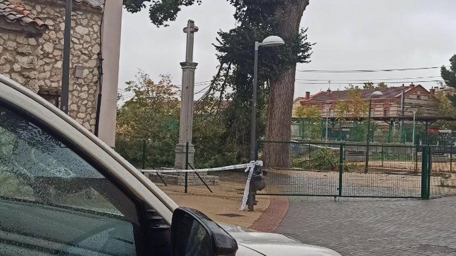 Detenido en Pinto un exhibicionista por masturbarse delante de dos menores de 14 años