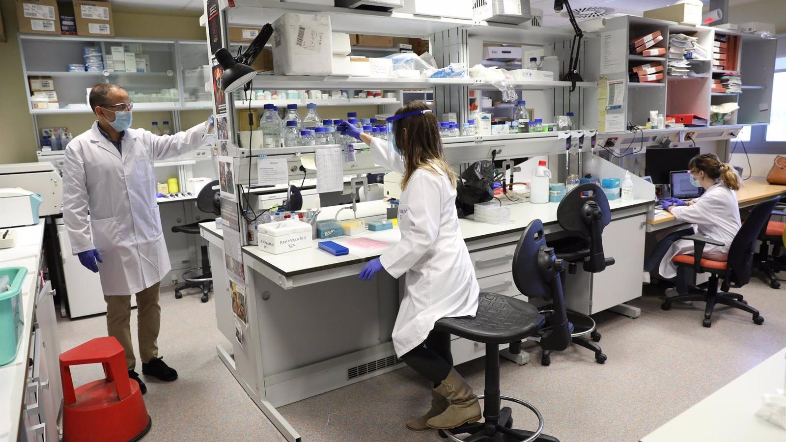 250 jóvenes desempleados de la Comunidad se incorporarán a equipos de investigación