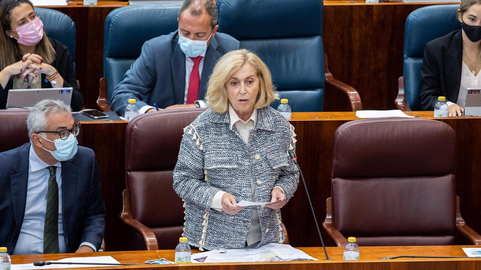 Dancausa dará explicaciones sobre el caso de las menores tuteladas en el próximo Pleno del 3 de febrero