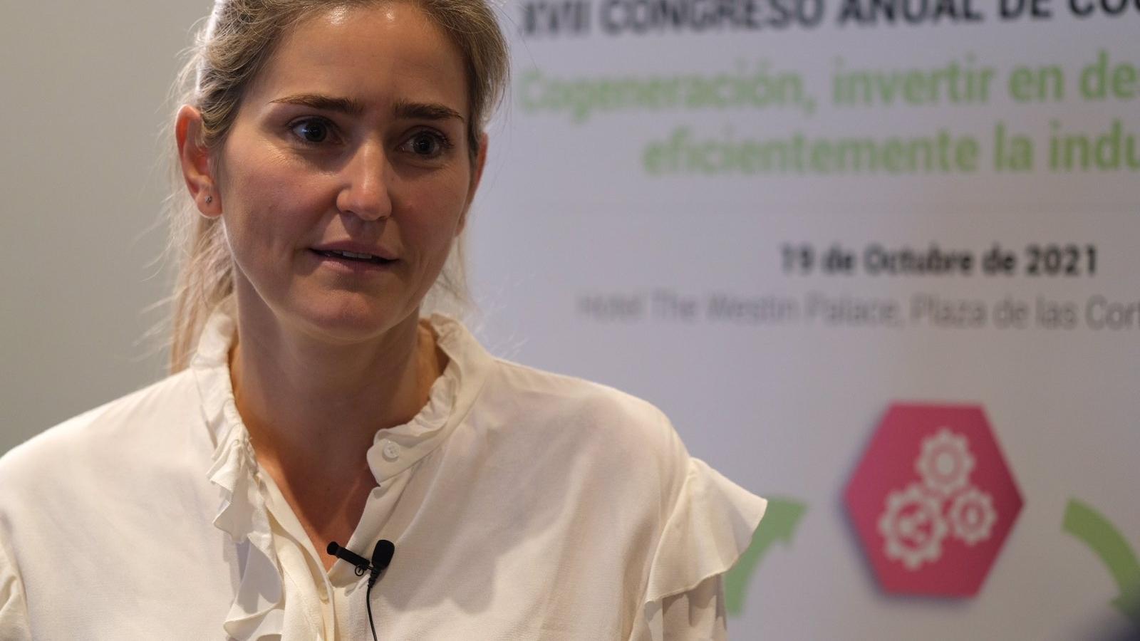 España pide poder salir del sistema de precios de la electricidad por ser un momento "excepcional"