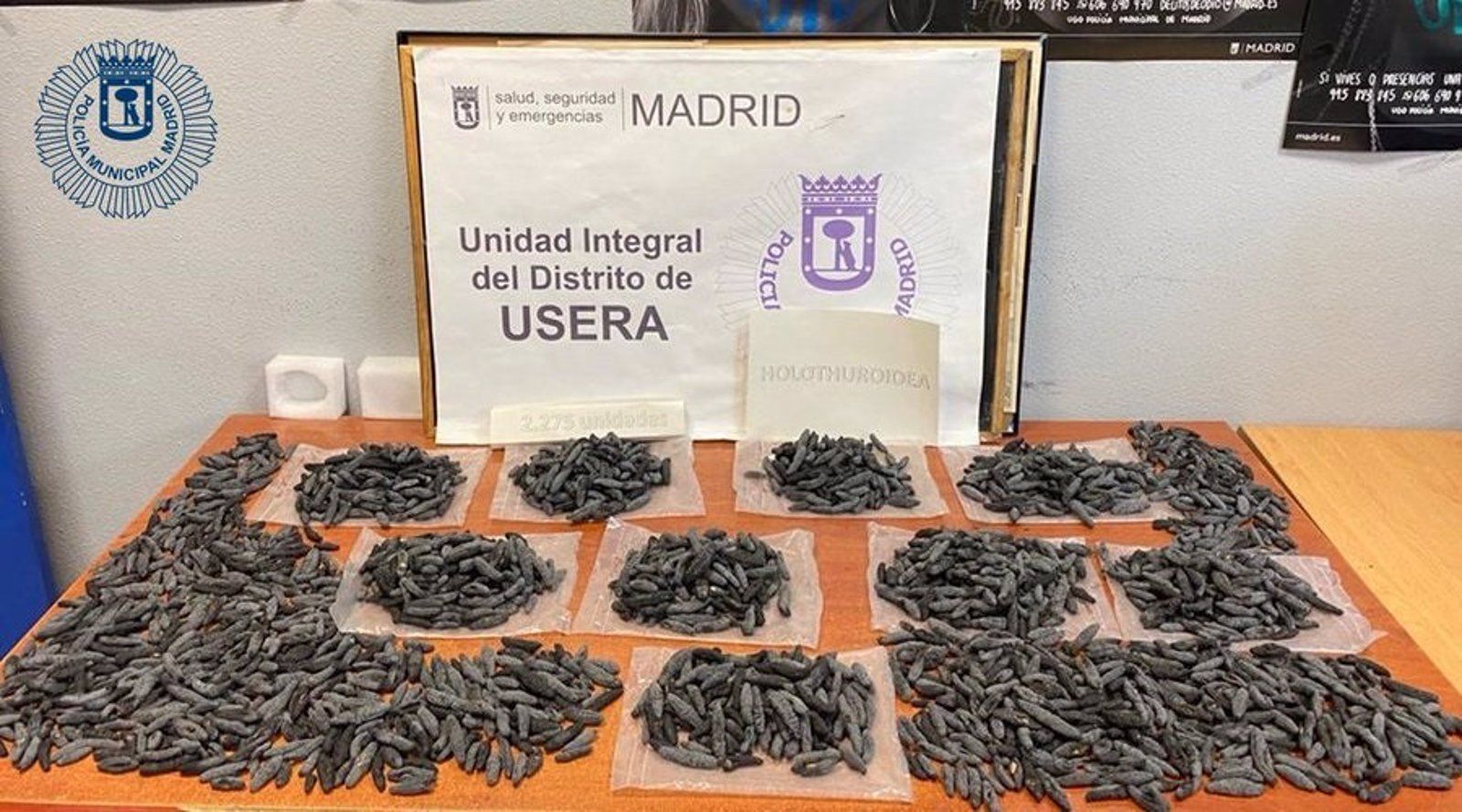 Requisan en un restaurante de Usera 2.275 'pepinos de mar' cuya captura furtiva está prohibida