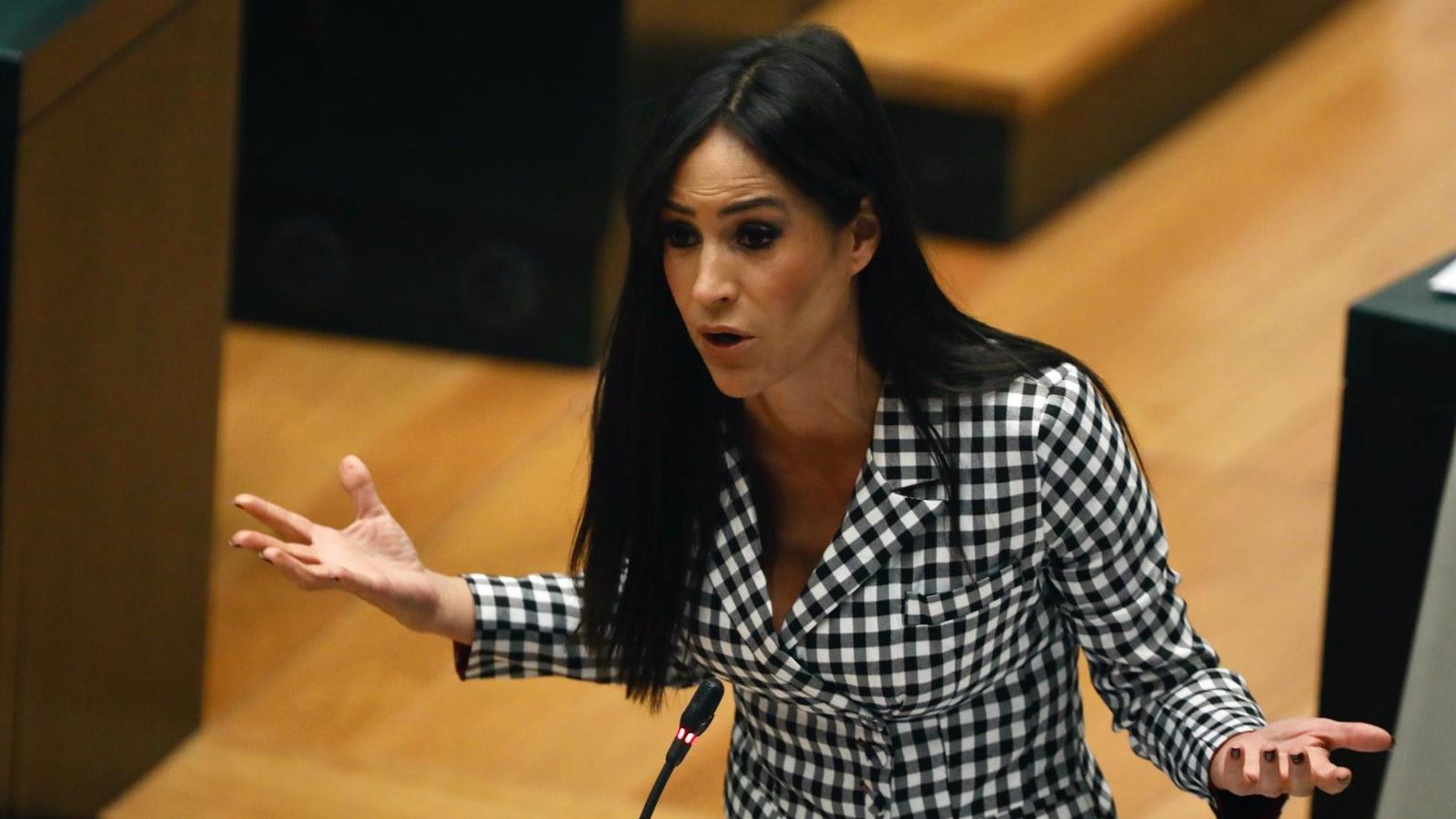 El Grupo Mixto se une a PP y Cs para tumbar que la modificación de la ordenanza de Terrazas sea retirada