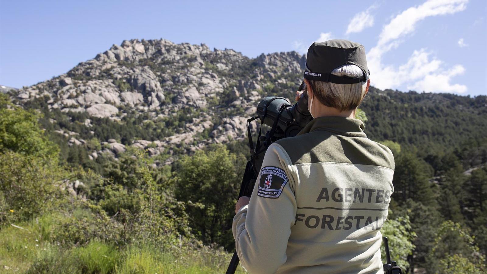 Aumenta más del 30% la inversión en la Central de Comunicaciones del Cuerpo de Agentes Forestales de Madrid