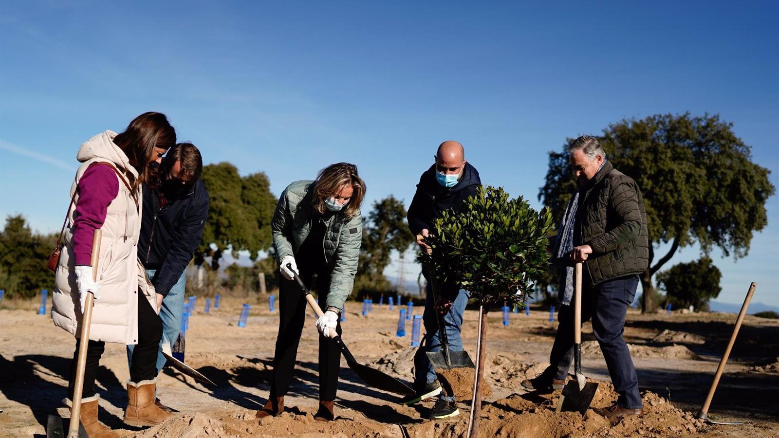 El proyecto Arco Verde los 50.000 árboles plantados