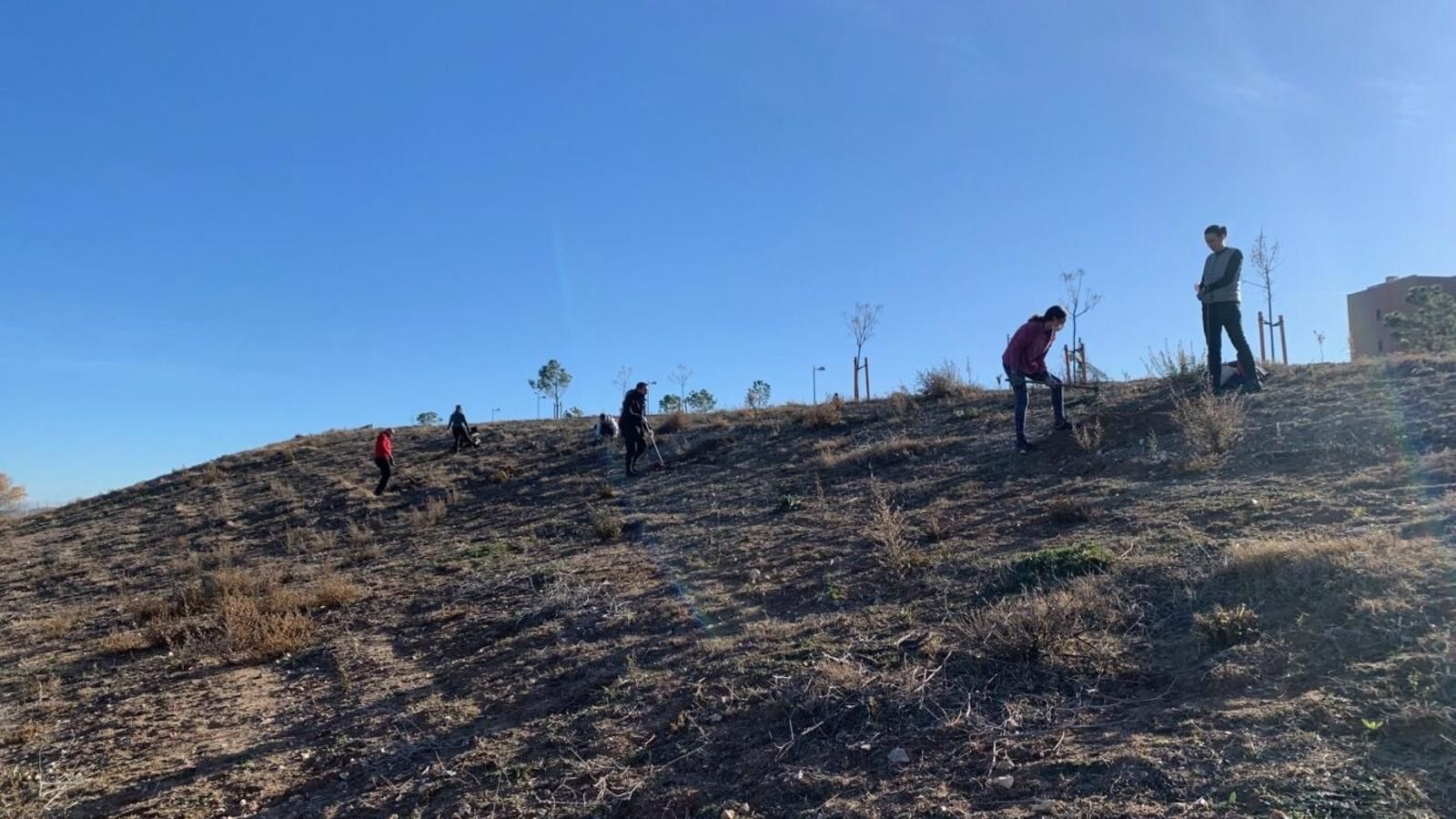 Plantados más de 150.000 árboles y especies arbustivas en el futuro Bosque Metropolitano
