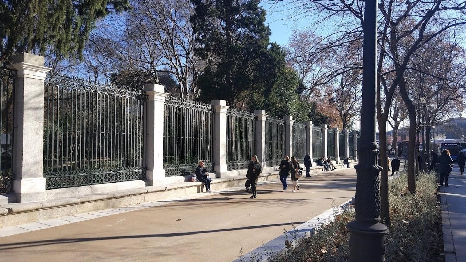 El Jardín Botánico abre el recorrido peatonal del Paseo del Prado, entre la Plaza de Murillo y la calle Claudio Moyano