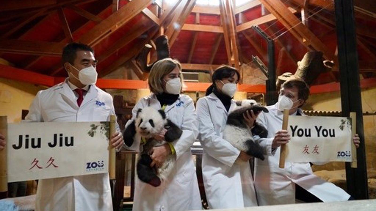 'Amistad' y 'Duradera' son los nombres de los gemelos de panda gigante nacidos en el Zoo Aguarium de Madrid