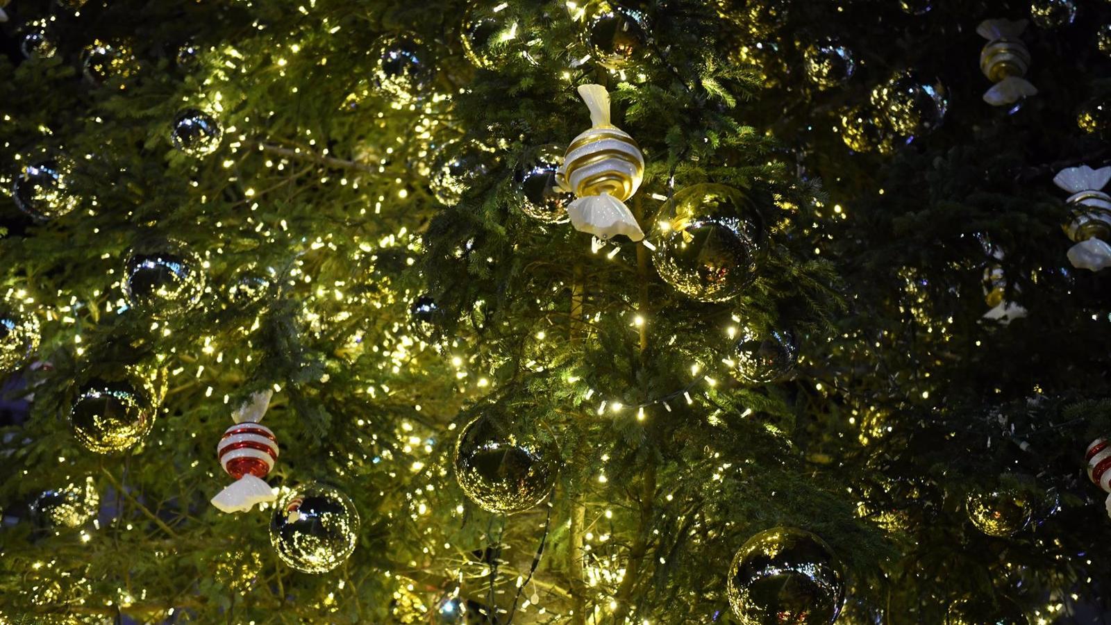 Está prohibido plantar los abetos navideños una vez acaban las fiestas