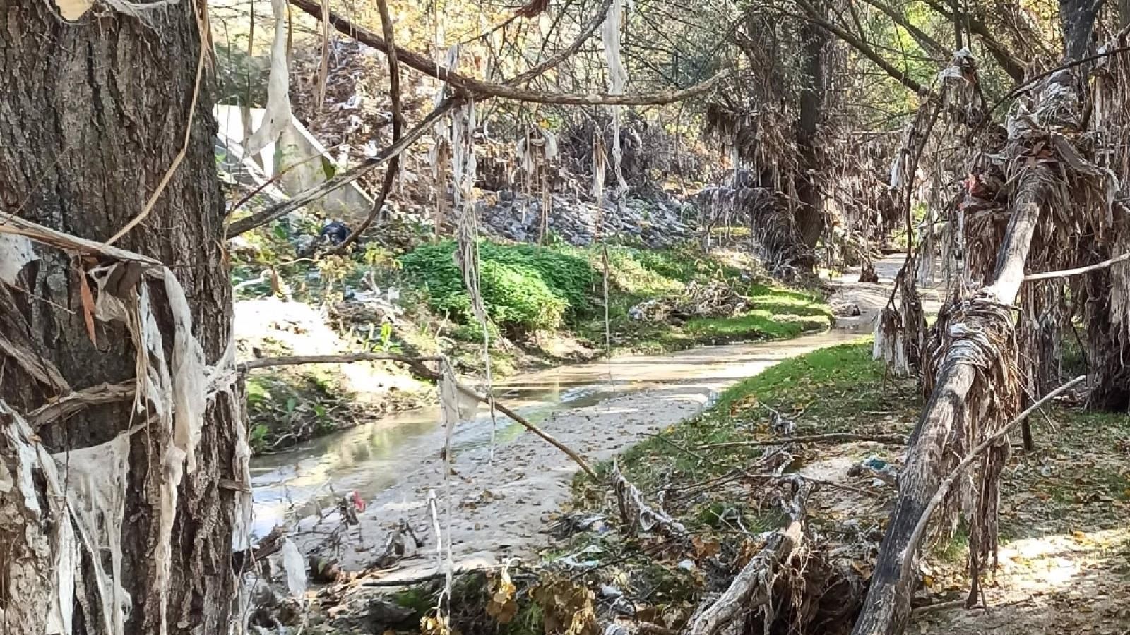 La Fiscalía traslada al juzgado la denuncia por vertidos de aguas fecales al arroyo de Valdebebas