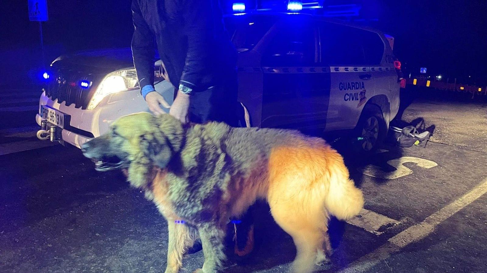 Siete jóvenes y un perro tuvieron que ser rescatados tras quedarse atrapados en un precipicio con hielo en La Pedriza